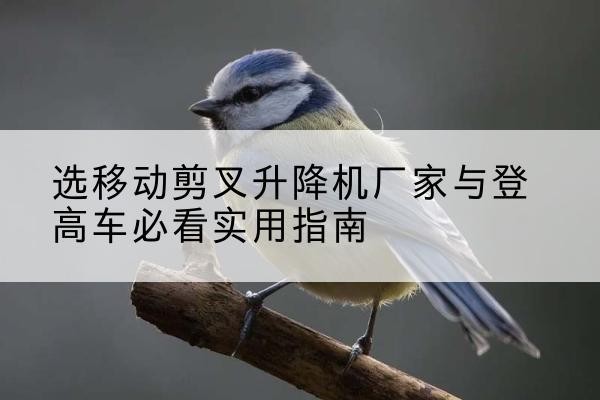 吴起电动升降机厂家-选移动剪叉升降机厂家与登高车必看实用指南