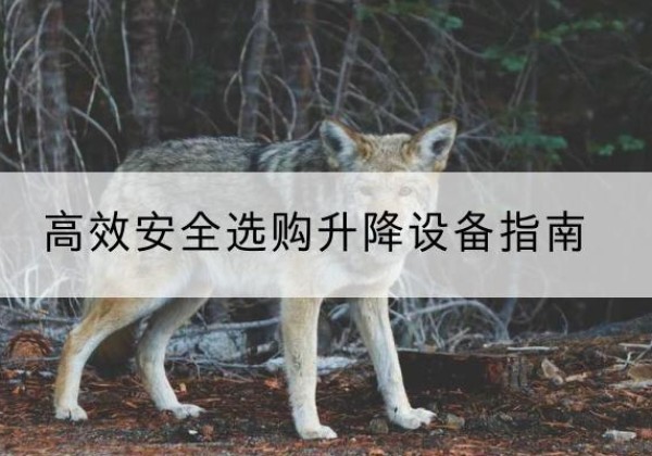 吴起升降货梯厂家推荐-*安全选购升降设备指南