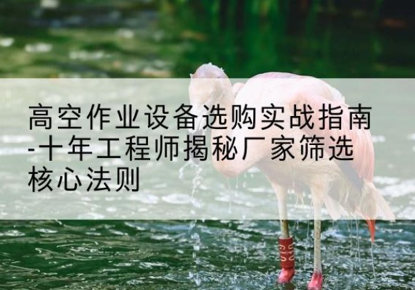 吴起剪叉式升降机厂家-高空作业设备选购实战指南-十年工程师揭秘厂家筛选核心法则